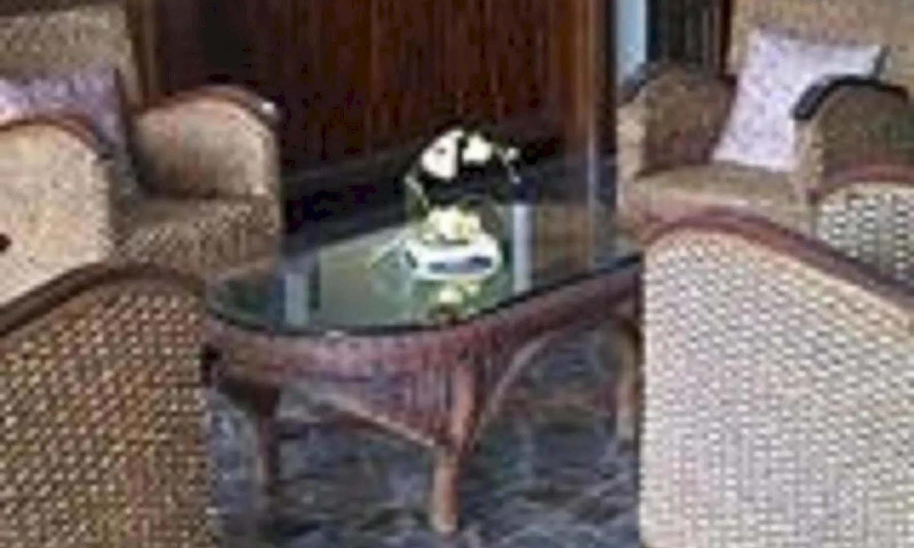 Arecibo Inn