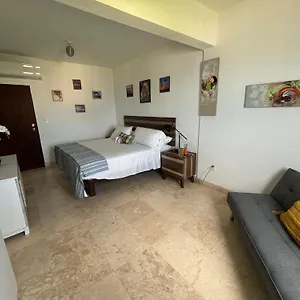 Bednbong Experience Arecibo